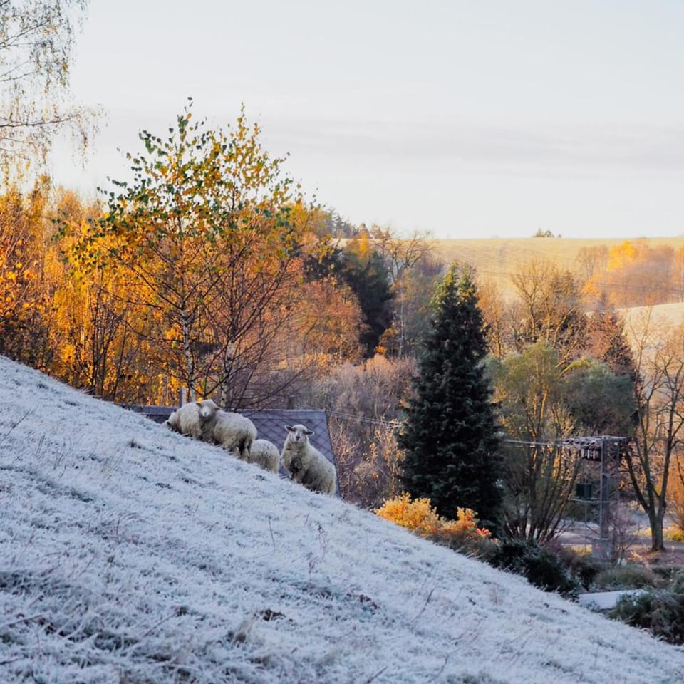 Penzion Šléglov Bed and Breakfast in Lower Silesian Voivodeship