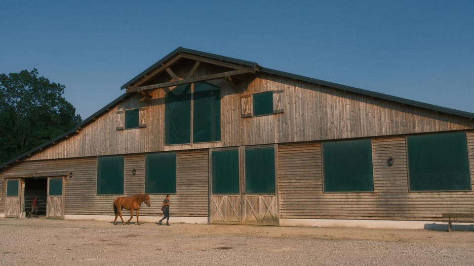 Activities, Horse-riding