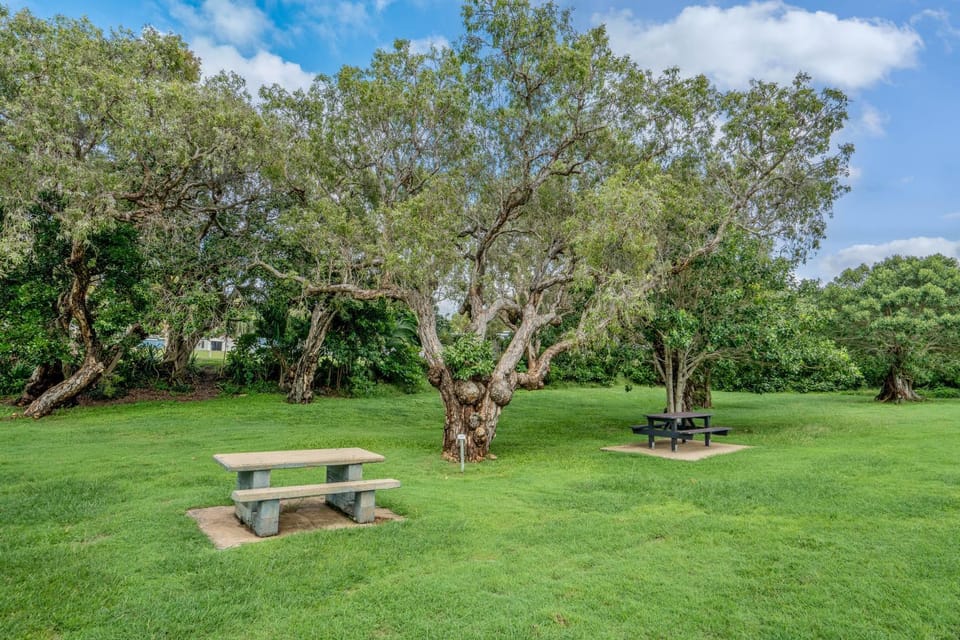 Day, Natural landscape, Garden, Garden view