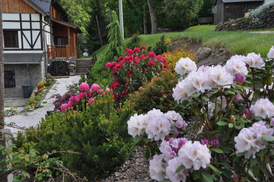 Pod Gwiazdami Vacation rental in Lower Silesian Voivodeship