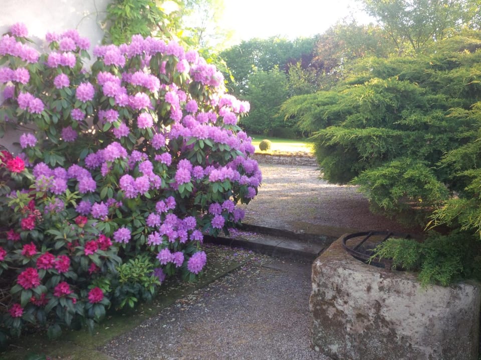 Le Prieuré Bed and Breakfast in Vosges