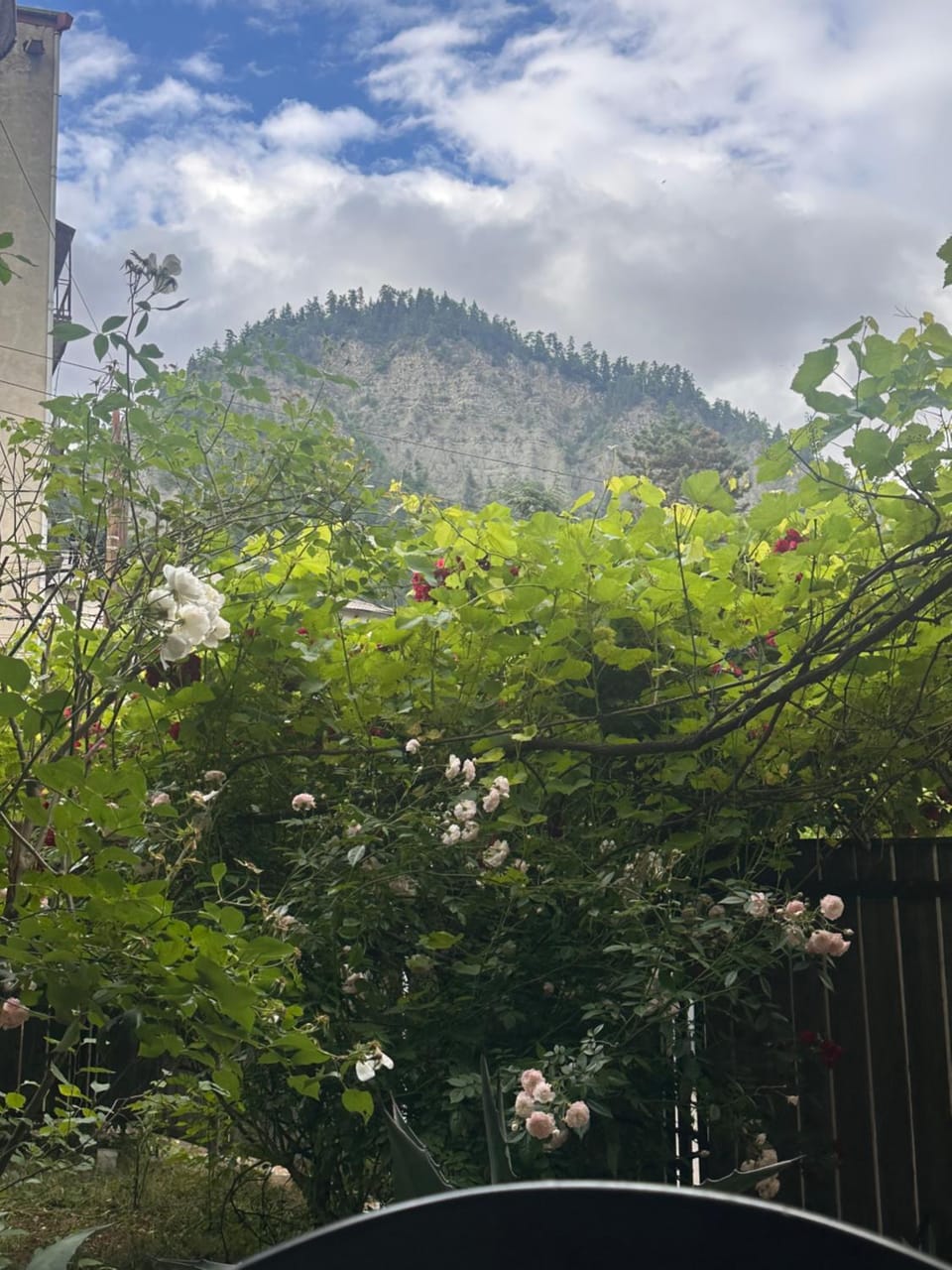 Borjomi Central Hotel in Georgia