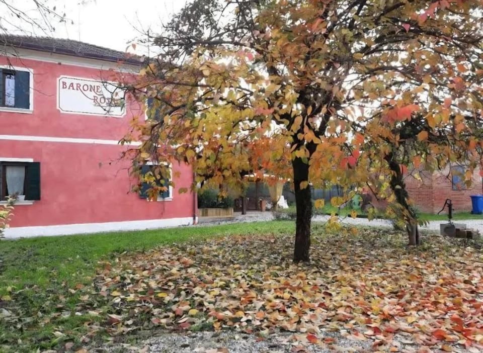 Inner courtyard view