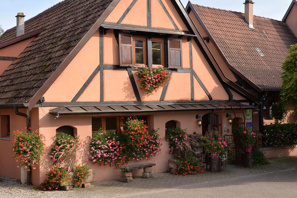 Gite coté jardin FAHRER ACKERMANN Apartment in Ribeauvillé