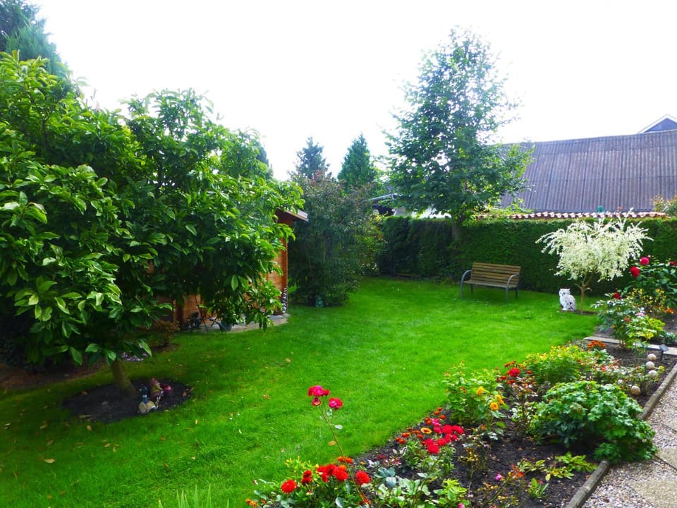 Other, Garden view
