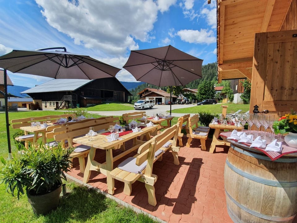 Spring, Natural landscape, Garden, Lounge or bar, Food and drinks, Food, Garden view, sunbed