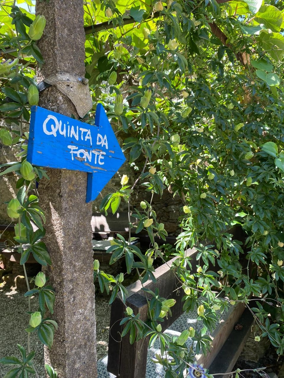 Guest Room Agro-turismo Quinta da Fonte Bed&Breakfast Bed and Breakfast in Portugal