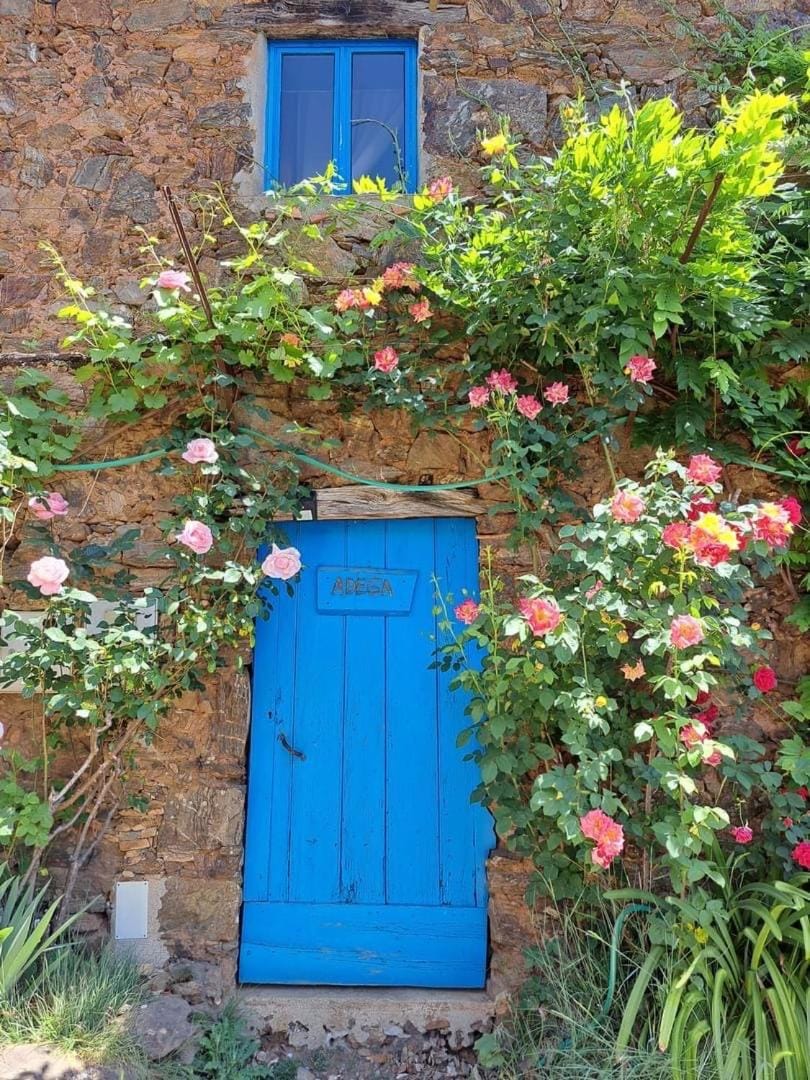 Guest Room Agro-turismo Quinta da Fonte Bed&Breakfast Bed and Breakfast in Portugal