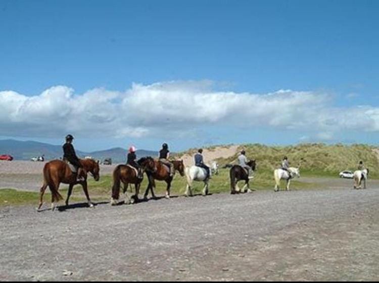 Earlscourt Apartment in County Kerry