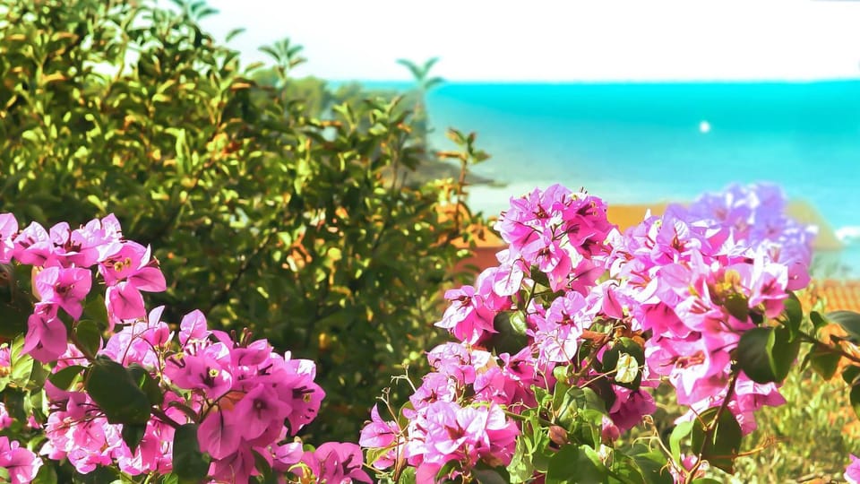 Natural landscape, Beach
