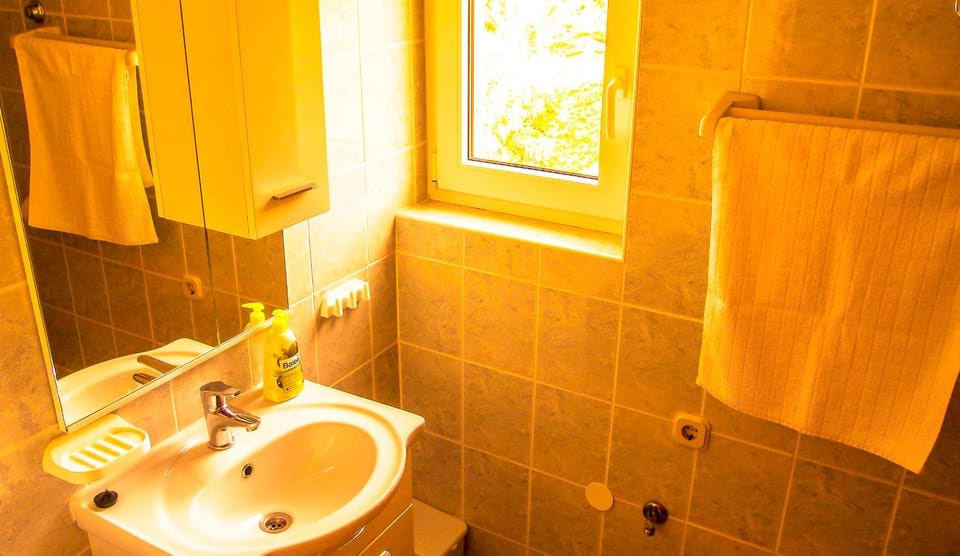 Shower, Toilet, Decorative detail
