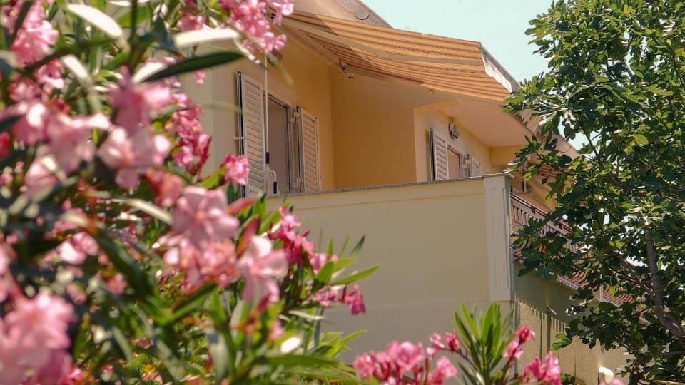 Summer, Garden view, Sea view
