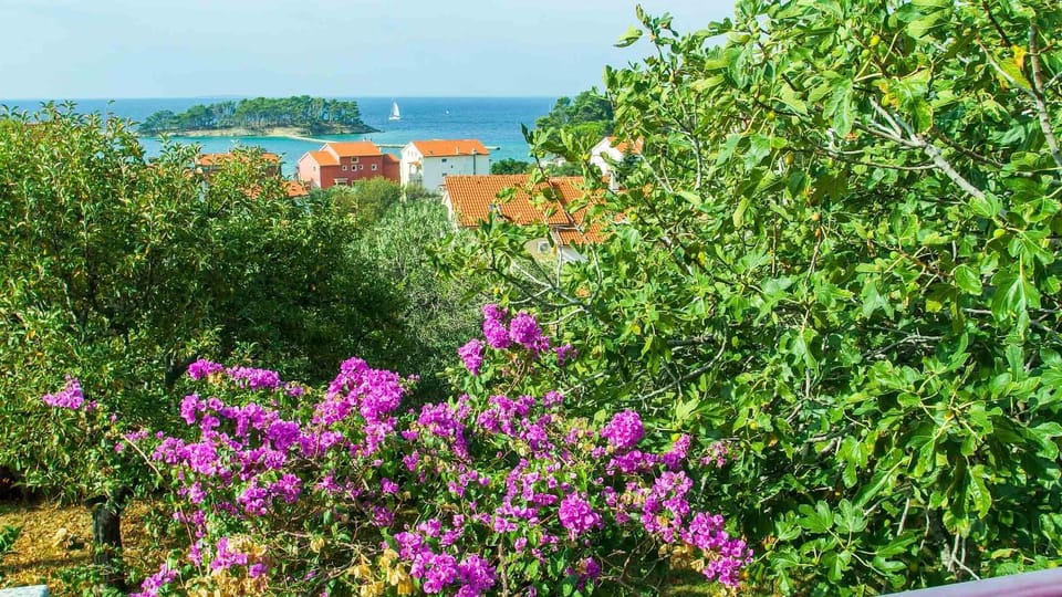 Garden, Balcony/Terrace, Garden view, Sea view