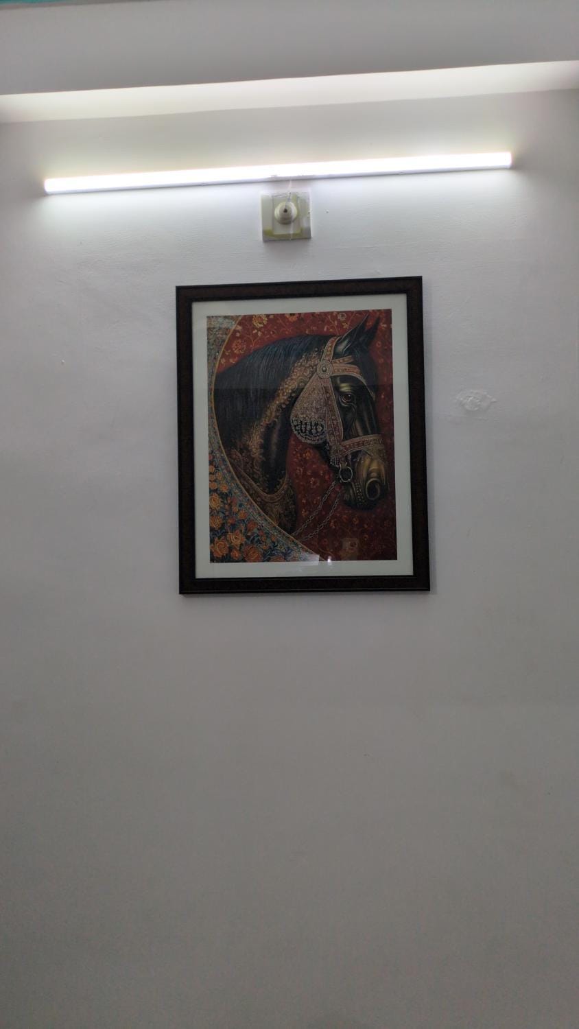 Nandini Paying Guest House Bed and Breakfast in Udaipur