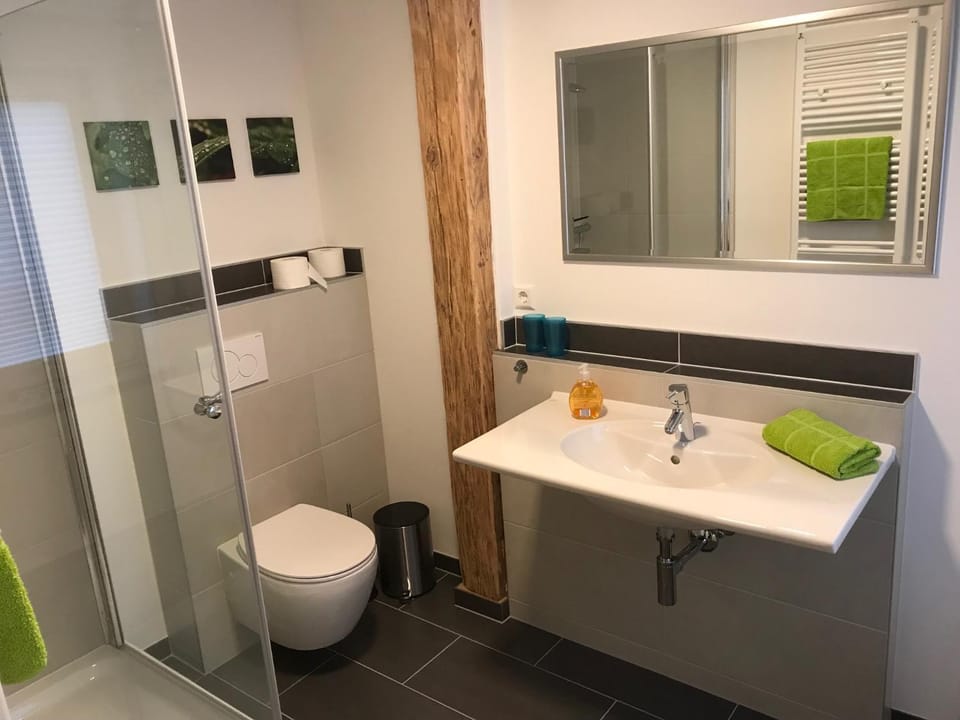 Shower, Toilet, Bathroom, Photo of the whole room