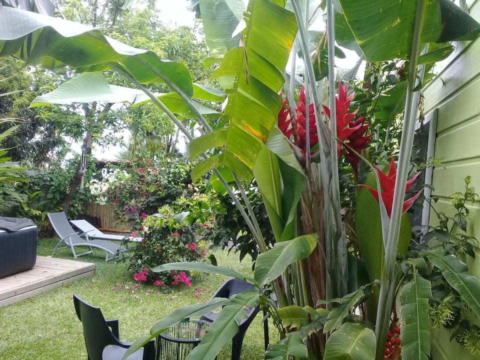 La case o'gecko974 Bed and Breakfast in Réunion
