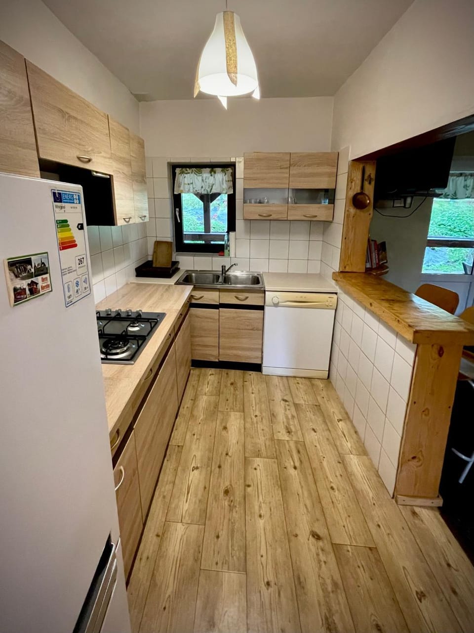 Kitchen or kitchenette, dishwasher, stove, kitchen