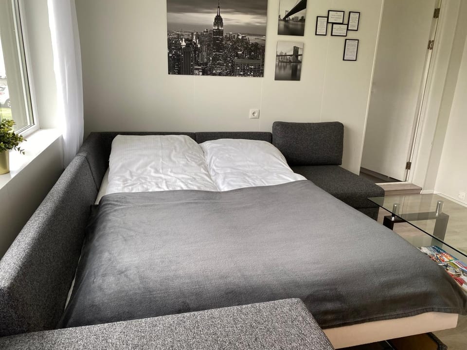 Bed, Living room, Seating area