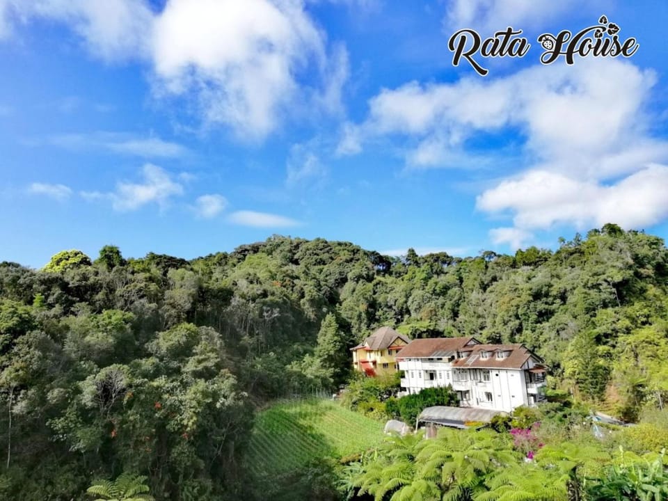 Garden view, Landmark view, Mountain view
