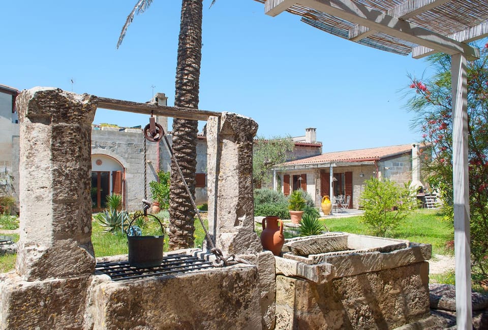 Property building, Patio, Summer, On site, Garden view