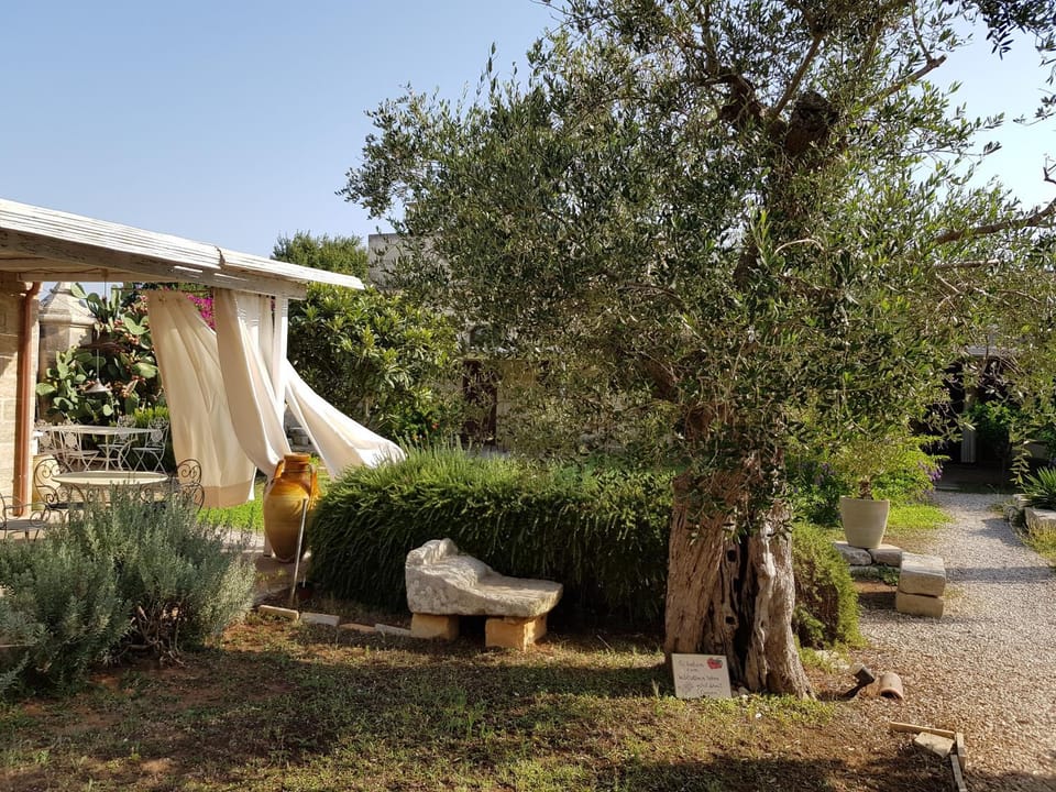 Garden, Garden