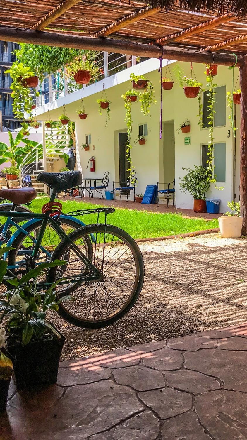 Patio, Garden
