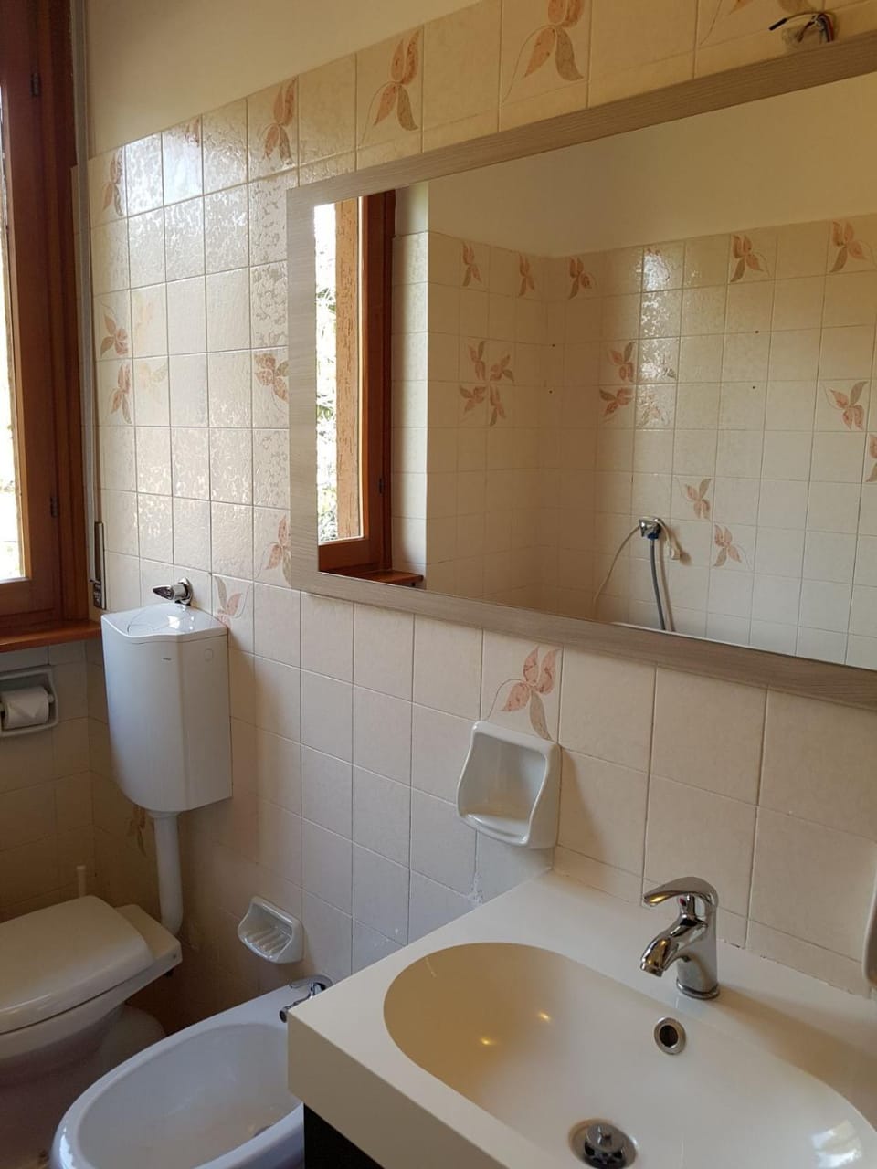 Toilet, Bathroom, bidet