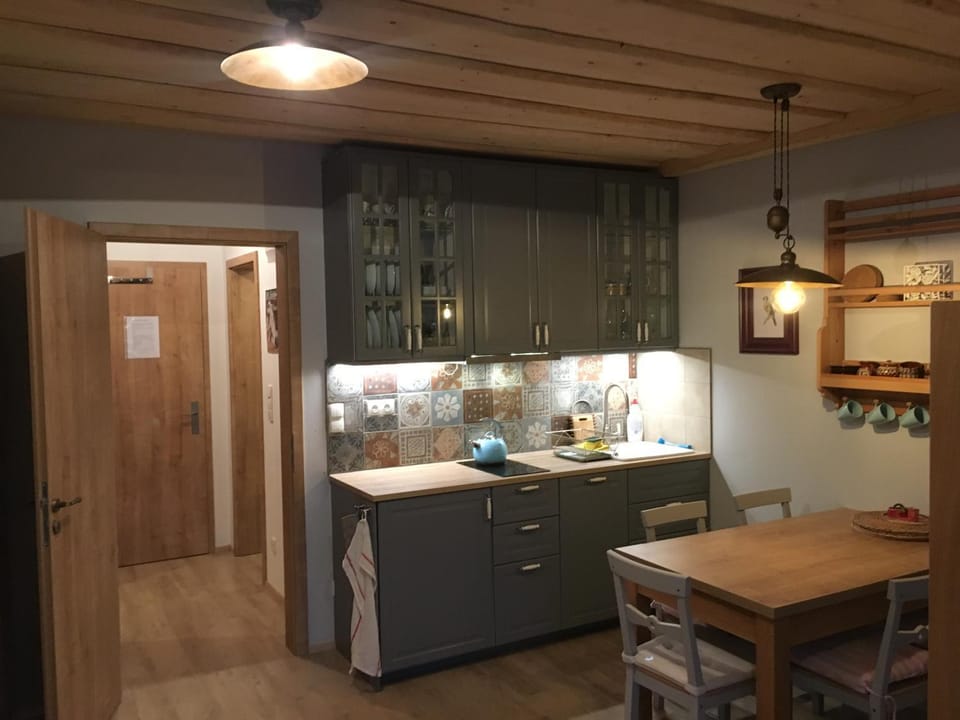Kitchen or kitchenette, Dining area