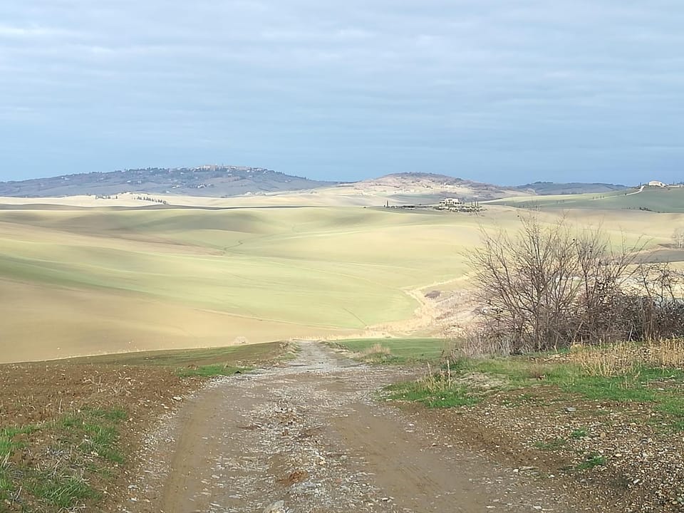 Natural landscape