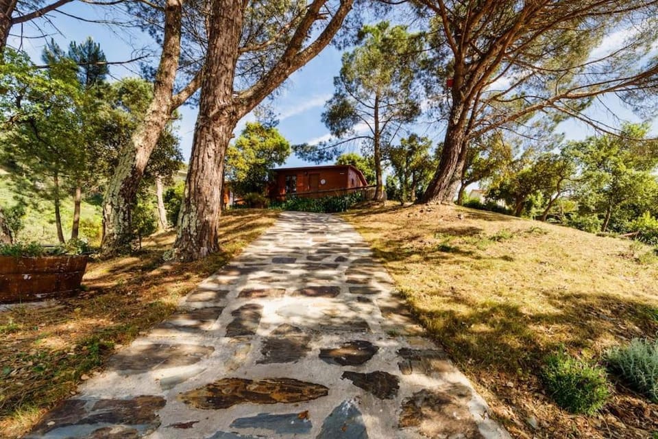 Natural landscape, Garden, Hiking