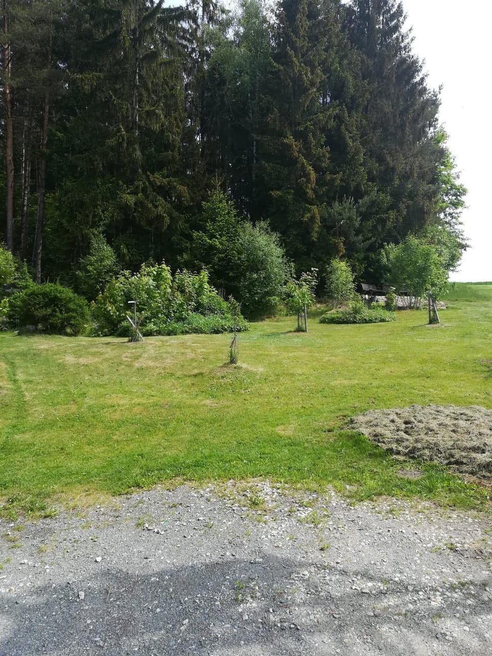 BBQ facilities