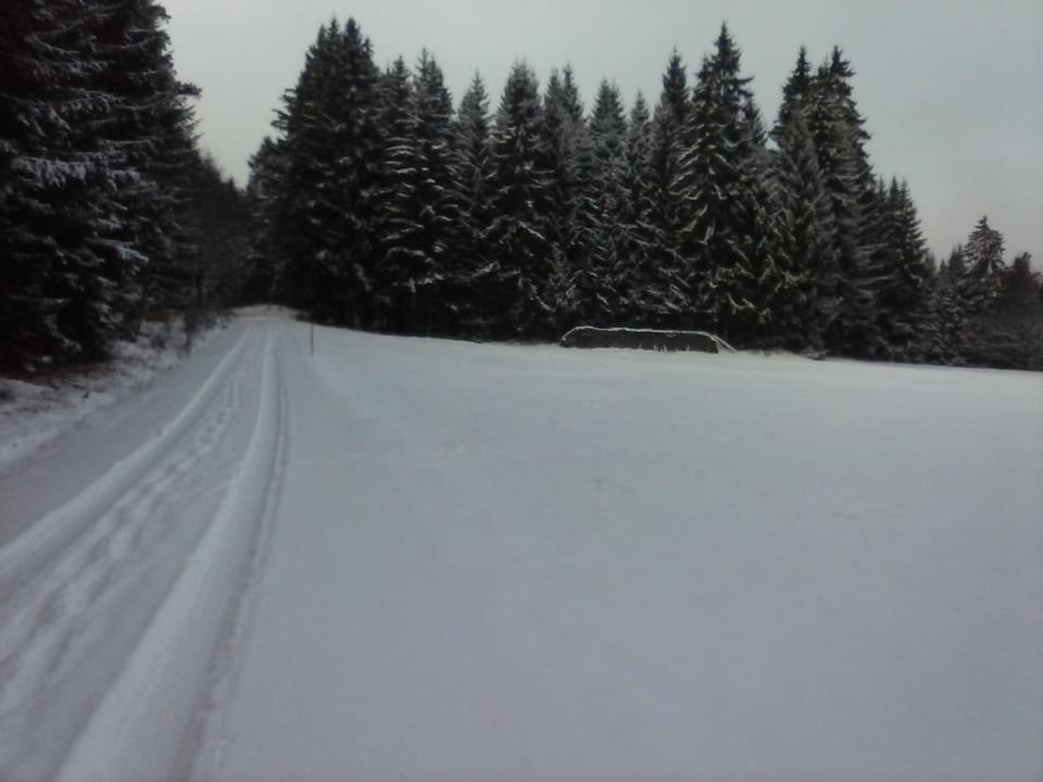 Natural landscape