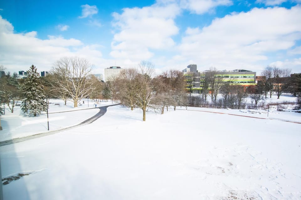 Natural landscape, View (from property/room), Balcony/Terrace
