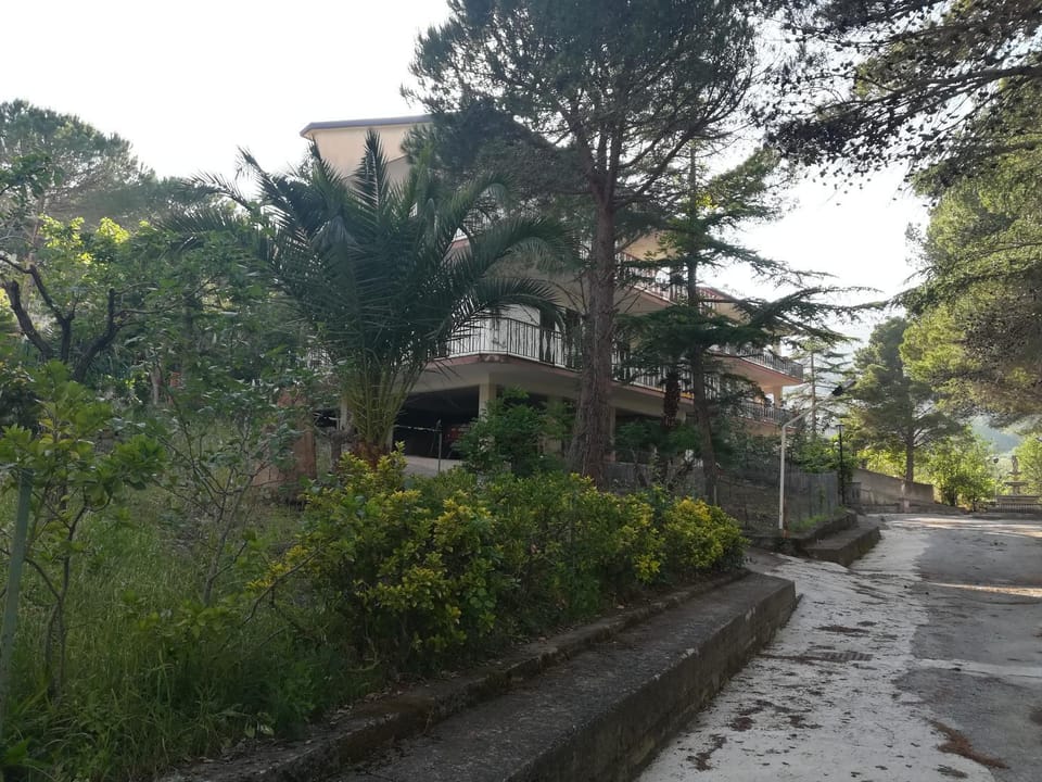Property building, Neighbourhood