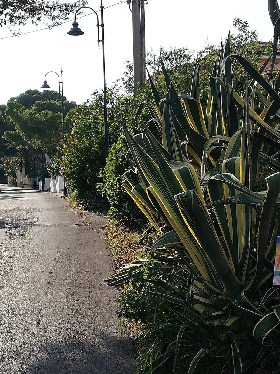 Neighbourhood