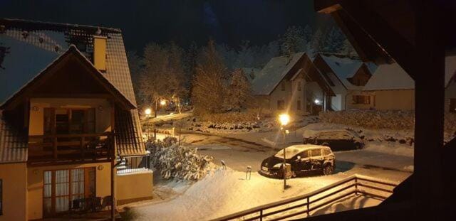 Winter, Garden view