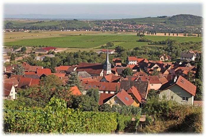 City view