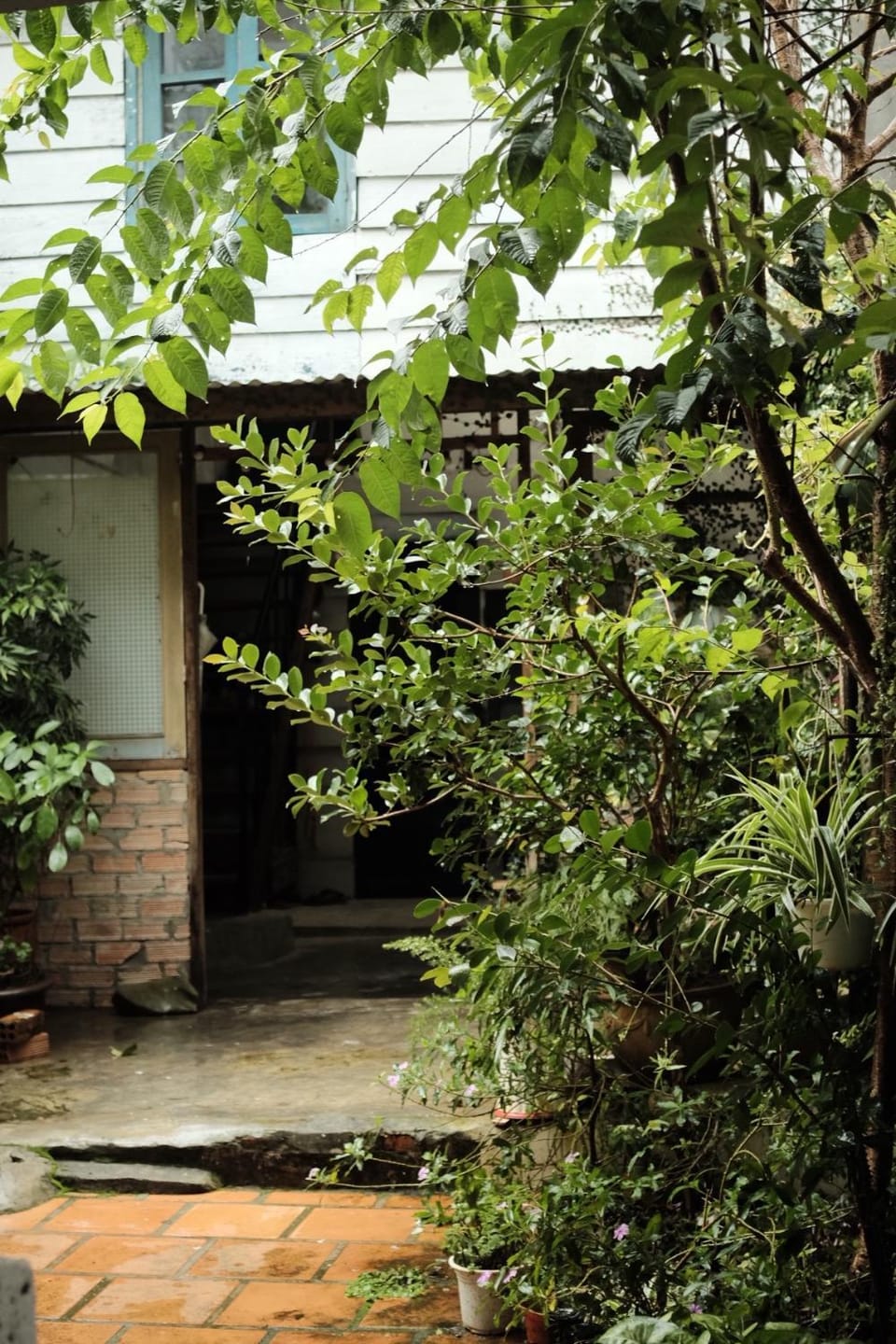 Len’s hostel Bed and Breakfast in Dalat