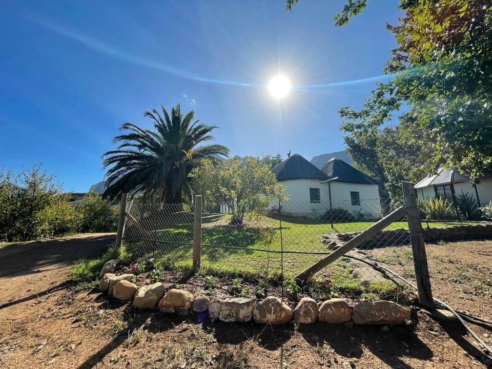 Property building, Garden view