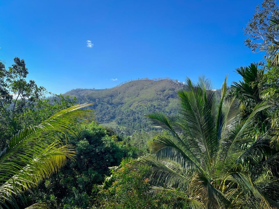 Misty View Inn Bed and Breakfast in Uva Province, Sri Lanka