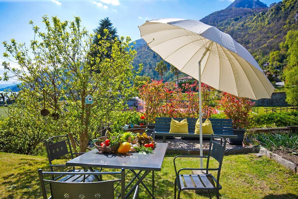 Garden, Mountain view