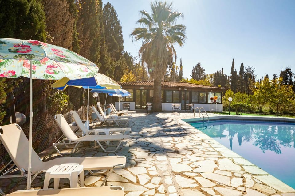 Pool view, Swimming pool, sunbed