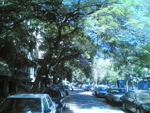 Furnished Flat in Cairo zero one zero one zero six seven nine two four four Apartment in Egypt
