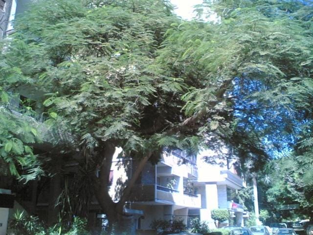 Furnished Flat in Cairo zero one zero one zero six seven nine two four four Apartment in Egypt