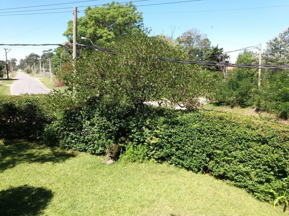 Garden, Street view
