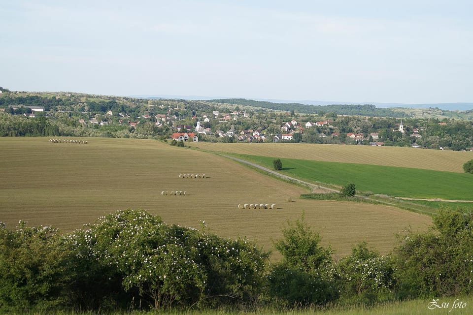 Property building, Other, City view