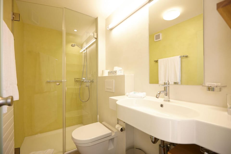 Shower, Toilet, Bathroom, towels