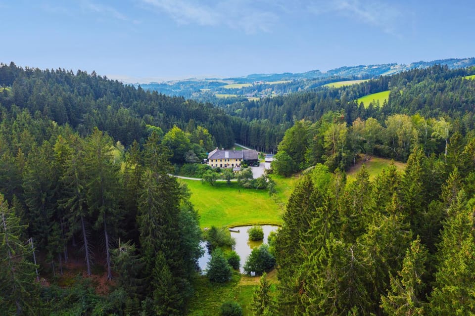 Natural landscape, Summer, On site