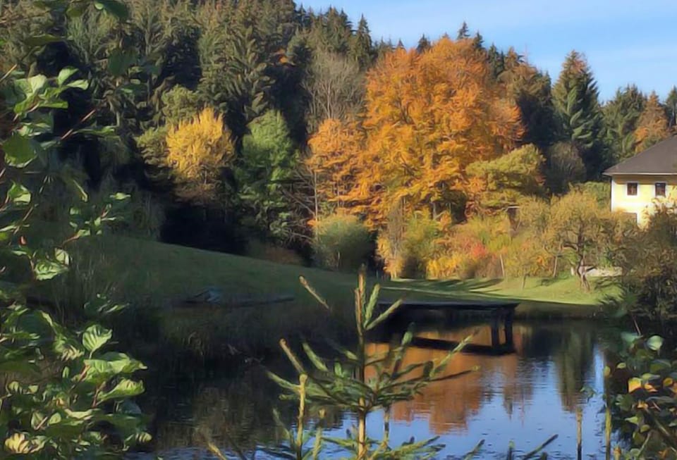 Natural landscape, View (from property/room), Hiking, Autumn, Garden view