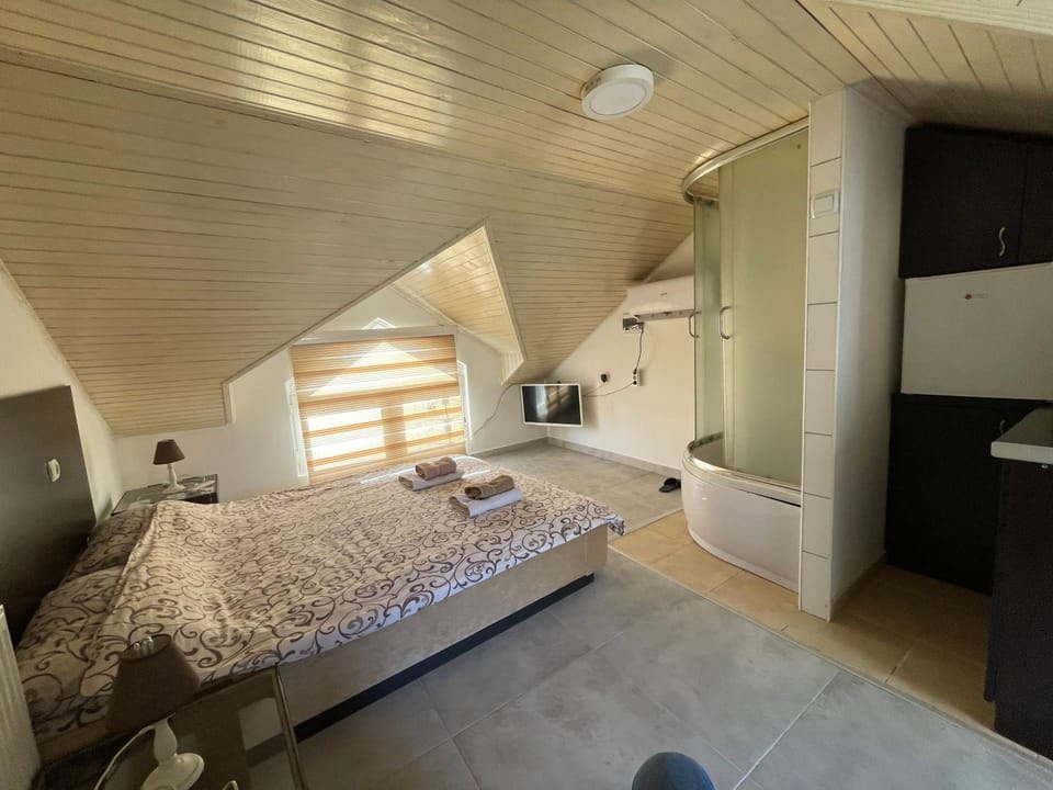 Simic Apartment in Serbia